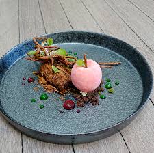 Chocolate Forest Raspberry Ice Cream Chocolate Ganache Log Soil Raspberry Gel Green Apple Gel Twigs Matcha Crumb