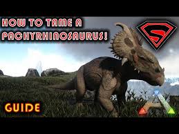 Fast Pachyrhinosaurus Taming Guide :: Ark : Survival Evolved Tips And  Tricks - Youtube