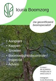 Image result for Icuria