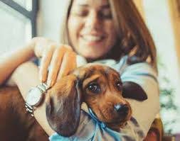 Melissa Rippe's Instagram, Twitter & Facebook