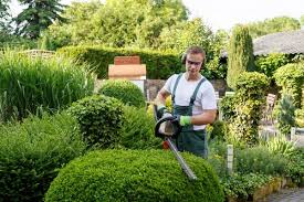 Here is your list of the best providers near you. Is Doing Your Own Landscaping Cheaper Axetreepros Tree Removal Frederick Md Garden Services Tree Surgeons Best Hedge Trimmer