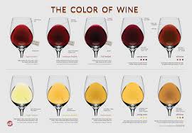 Wine Spectator Varietal Characteristics Sarah Sommelier