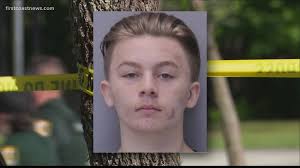 New document details timeline of events in Tristyn Bailey murder  investigation