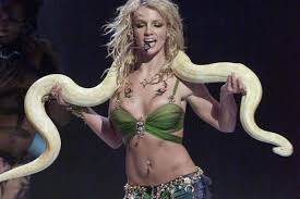 Image result for britney spears python
