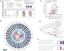 Image result for Echinochloa haploclada