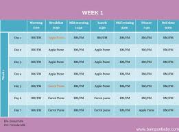 6 Month Old Feeding Schedule Free Printable Food Charts