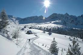 See 149 reviews, articles, and 83 photos of go!ski zakopane, ranked no.1 on tripadvisor among 4 attractions in zakopane. Zakopane Skiing In Poland