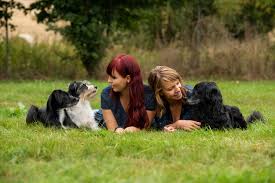 Cooperative banks present in germany for more than 150 years, combining financial success with social resposibility. Tierschutz Vierpfotentraining Zwickau