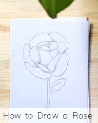 Once you get the hang of drawing some of the more popular types of cartoon flowers, it will be possible to venture off and. How To Draw Flowers Step By Step Tutorials For Beginners Jeyram Art