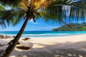 Vacation (all i ever wanted). Vacation All I Ever Wanted Tcb Coaching Consulting Milwaukie Or