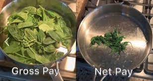 Gross Pay Vs Net Pay Jokes Of The Day Funny Pictures Funny Meme Pictures