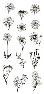 Vintage Flowers Herbs Flower Art Drawing Beautiful Flower Drawings Flower Sketches A solution to this problem is to create a grid of guidelines. vintage flowers herbs flower art
