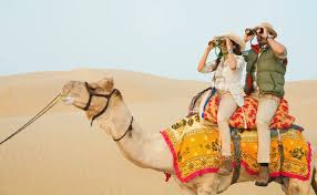 The jdbcaggregationrepository optimistic locking feature has been fixed to work on a distributed environment and every database. Rajasthan Camel Safari Tour Book Camel Safari Holidays In Rajasthan