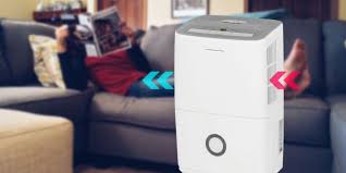 3 Superb Benefits Of A Dehumidifier And Which One To Buy