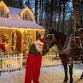 Santa's Christmas at Charmingfare Farm event image