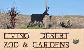 Nm cactus & succulent society meetings. Non Profit For Zoo New Mexico Friends Of The Living Desert