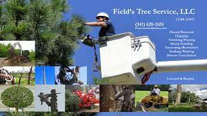 Professional tree service with certified arborists, trained in the knowledge of tree trimming, pruning, tree removal, fertilization and diagnosis! Field S Tree Service Llc Grant County Chamber Of Commerce Oregon Grant County Chamber Of Commerce Oregon