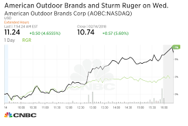 gun stocks pare initial gains following the florida shooting