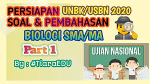 Prediksi soal un biologi sma 2019 dan pembahasannya. Prediksi Soal Unbk Usbn Biologi Sma Ma Tahun 2020 Lengkap Dengan Pembahasannya Part 2 By Tiaraedu Youtube