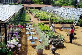 London Restaurants Open Air Dining Options Garden Center Displays Greenhouse Cafe Garden Nursery