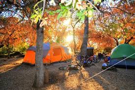 Lake county is a county located in the north central portion of the u.s. Campsite 93 Lower Bayview Picture Of Clear Lake State Park Kelseyville Tripadvisor