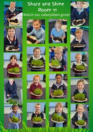 Respect Engage Achieve Care Honesty