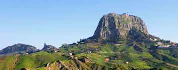 Image result for Sutera debilis