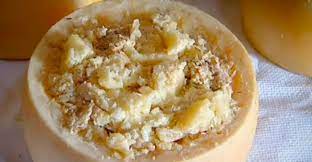 Casu marzu takes some time to make (what kind of quality. Le Casu Marzu Un Fromage De Sardaigne Tres Vivant Bizarre Foods Food Food Humor