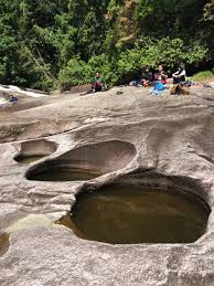 Endau rompin national park is in malaysia. Pin On Taman Negara Endau Rompin Johor