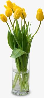 Square floral of watercolor roses flowers and golden border. A Bouquet Of Flowers Tulip Clipart Plant Flower Png Transparent Clipart Image And Psd File For Free Download Tulip Clipart Flowers Bouquet Tulips