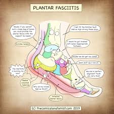 نتیجه جستجوی لغت [comical] در گوگل