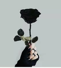 The Black Rose Shared By Abidmamar0 On We Heart It Art Tatoo Love Tatoos Ink Tattoos Https Black Aesthetic Wallpaper Black Aesthetic Black Rose