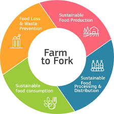 The eu traces its origins frae the european coal an steel community (ecsc) an the european economic community (eec), formed bi the inner sax kintras in 1951 and 1958, respectively. Farm To Fork Strategy Food Safety