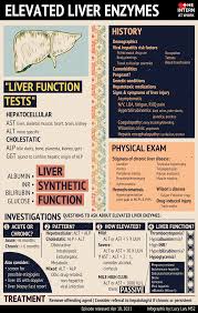 Image result for Liver Function Test Abnormality