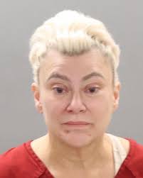 Recent arrest records available online