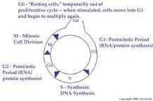 Image result for how do you know which cells to target with targeted cancer treatment