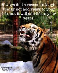 Always Find A Reason To Smile It May Not Add Years To Your Life But It Will Add Life To Your Years Maxtiger Big Big Cat Rescue Big Cats Reasons To