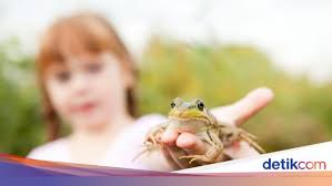 Pada metamorfosis sempurna memiliki fase pupa, sedangkan pada metamorfosis tidak sempurnanya tidak terdapat fase ini. Perbedaan Metamorfosis Sempurna Dan Tidak Sempurna Lengkap Dengan Contohnya