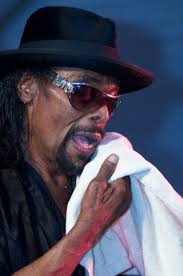 Chip Py Go-Go Collection