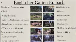 Meine Fotogalerie