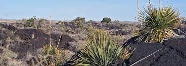 From there you could drive to santa fe (1 hour from abq) and other towns the chihuahuan desert in southern nm holds some cacti, but. Valley Of Fires Recreation Area Carrizozo New Mexico