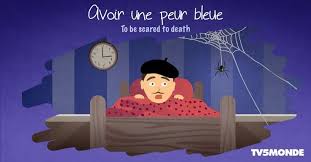 Avoir Une Peur Bleue Etre Effraye Argot Expressions French Expressions Teaching French Learn French