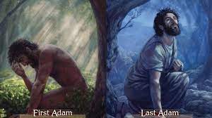 This earthly aspect is a component of adam's identity, and adam's curse of estrangement from the earth seems to describe humankind's divided nature of being earthly yet separated from nature. Adam The First And The Last Youtube