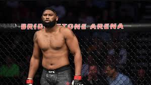 Derrick lewis at ufc fight night 185. Curtis Blaydes Vs Derrick Lewis Pick Ufc Vegas 15