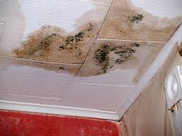 It usually occurs after winter, when the temperature rises, and mold spores are starting to float, finding their new homes. Black Mold And How To Prevent This Toxic Substance