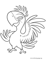 Top 15 Rio Movie Coloring Pages For Your Little Ones Rio Movie Bird Coloring Pages Coloring Pages