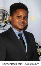 1+ Thousand Perrin Royalty-Free Images, Stock Photos & Pictures