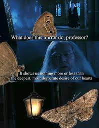 Pin On Moth