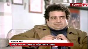 Sosyal Medyada Kedidir Kedi Sarsintisi Dailymotion Video