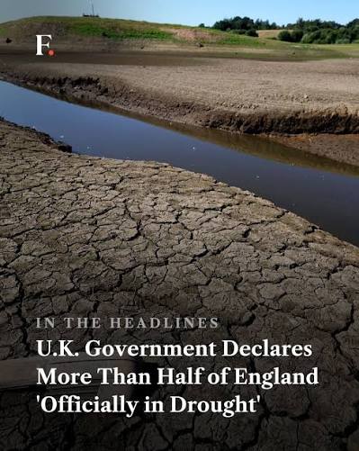 Half of England has officially been declared in drought after weeks of  extreme heat and very little rainfall, with July on track to become the  country's driest month on record. The Environment